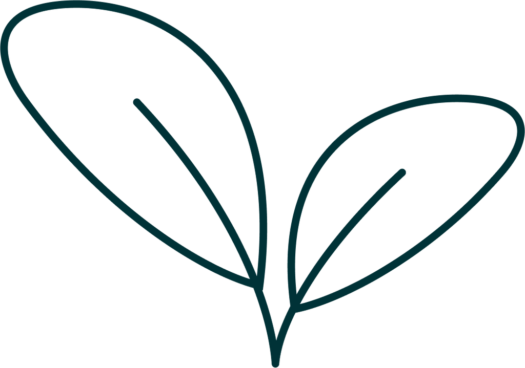 Icon Vegan Logo