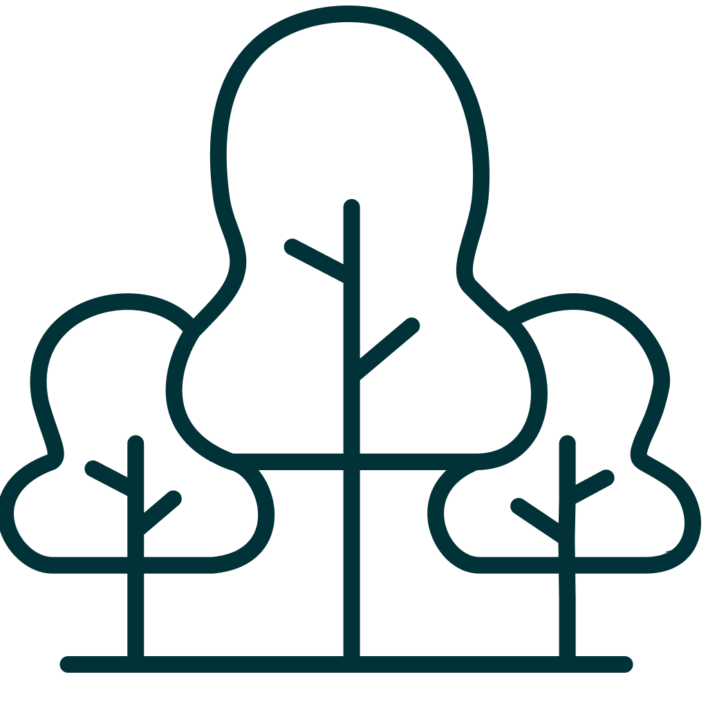 Icon Bäume aufforsten