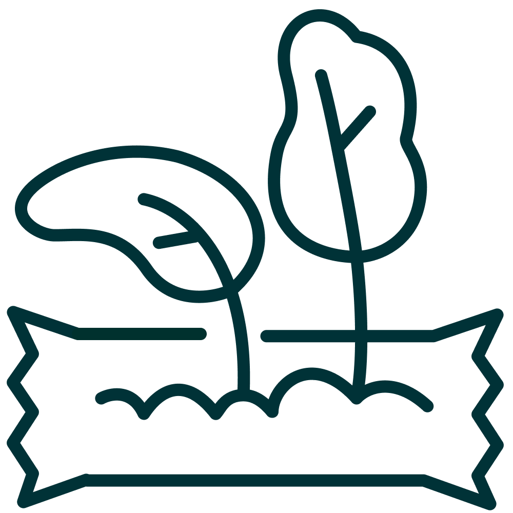 Icon plastikfreie Verpackung